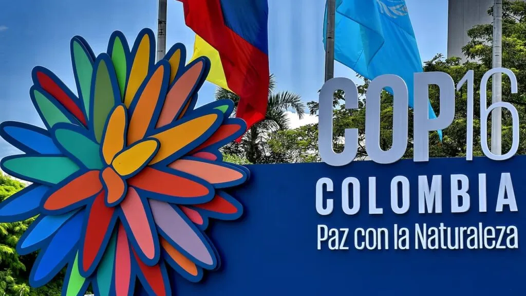 La COP 16: Un Encuentro Clave para el Futuro Sostenible de Colombia