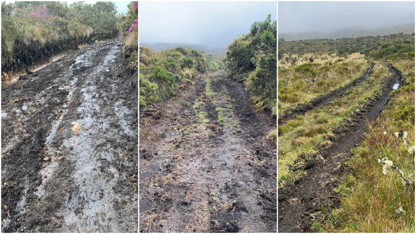 Imágenes: Irreparable daño ambiental en el Páramo La Cortadera tras el paso de una vía  