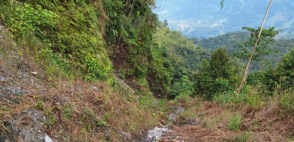 Familias cacaoteras de San Pablo de Borbur enfrentan crisis por el mal estado de las vías rurales