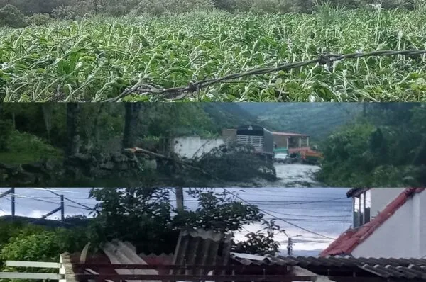 Vendaval en Boavita, norte de Boyacá  deja más de 100 personas damnificadas