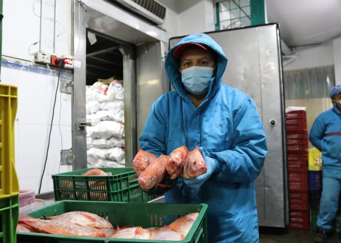 Estos son los precios del pescado que refleja la Central Mayorista de Corabastos para Semana Santa