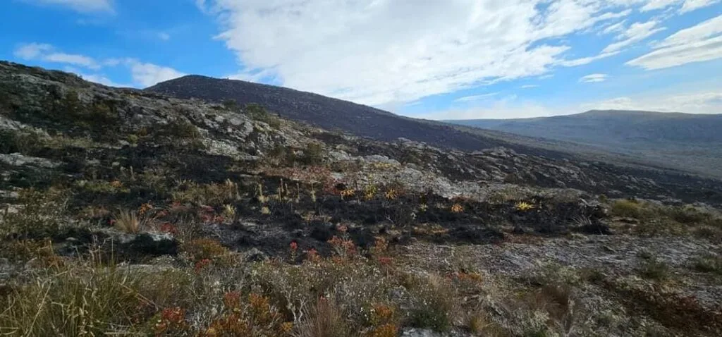 Más de 200 hectáreas de vegetación fueron consumidas por incendio en el Páramo La Cortadera 