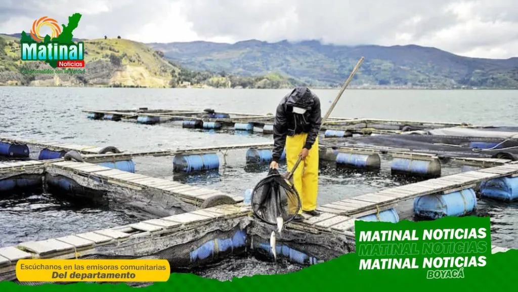 ¡Destacado! El Lago de Tota en Boyacá, es el mayor productor de trucha a nivel nacional