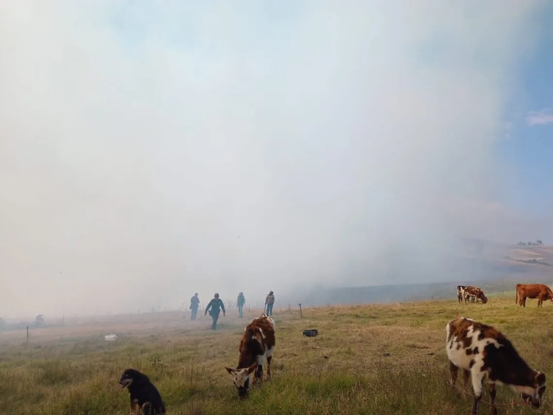 Vegetación, cultivos y pastos fueron consumidas por incendio en zona rural de Viracachá 
