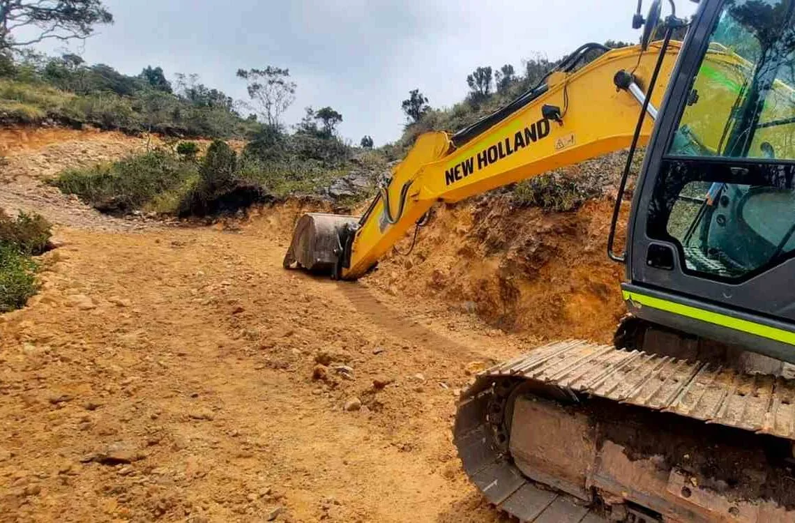 Bastaron días para acabar con años de vida de decenas de frailejones en Sotaquirá