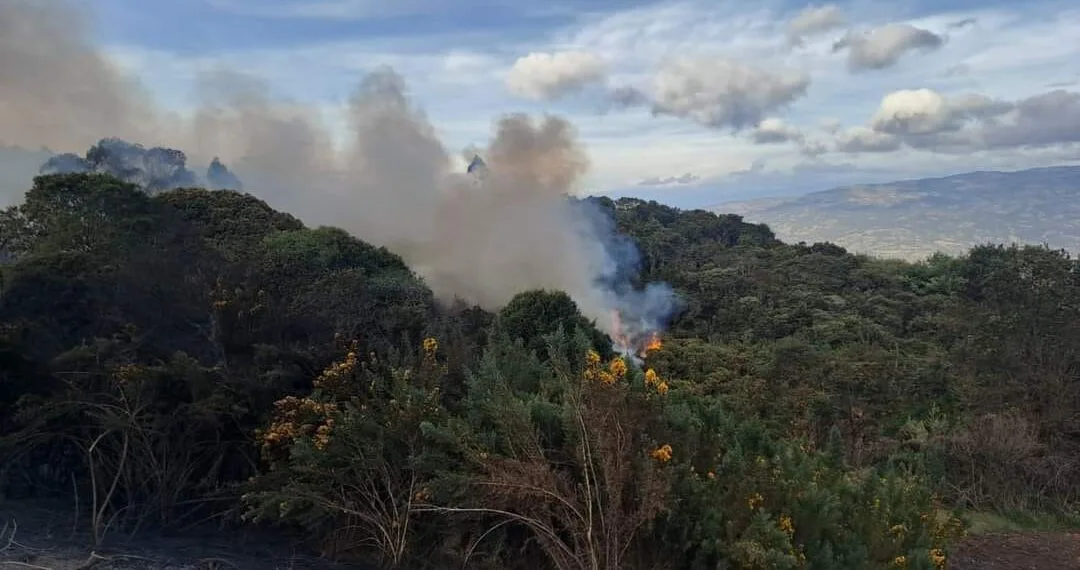 Incendio forestal en zona rural de Saboyá, está fuera de control