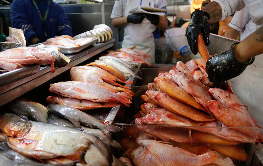 ¡Ojo¡ Que un pescado de mala calidad no le arruine la Semana Santa