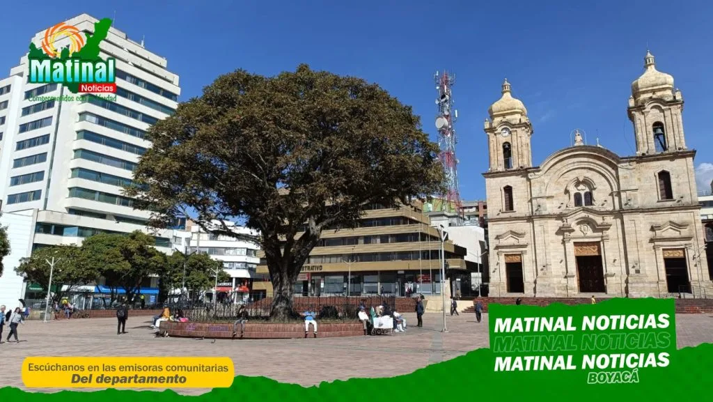 Radiografía al corazón de la Cedrela de Duitama: Estudio con tomógrafo sónico revela el estado real del árbol patrimonial en la Plaza de Los Libertadores