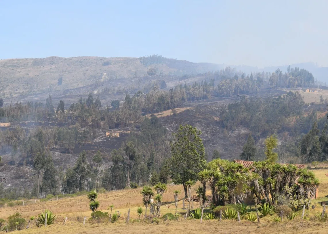 Tres días completa activo incendio forestal en Corrales. Gobernador pide ayuda divina