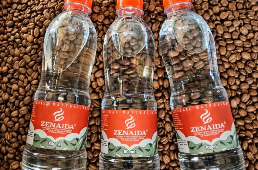 Zenaida se expande: del aroma del café a la pureza del agua mineral del Páramo de Pisba