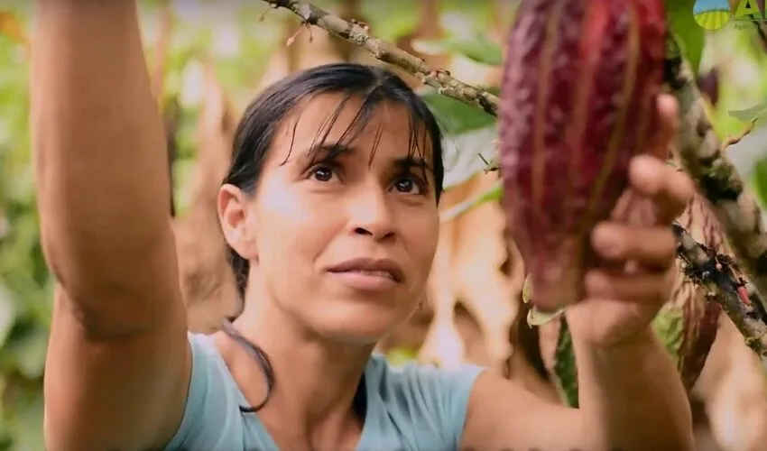 San Pablo de Borbur es acreditado como Entidad Prestadora de Servicios Agropecuarios (EPSEA)