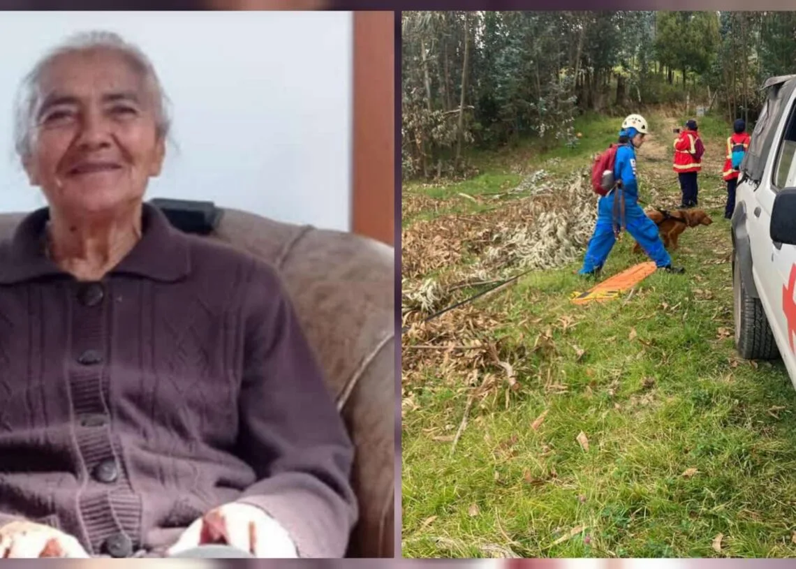 Angustiosa búsqueda de adulta mayor que desapareció en zona rural de Sotaquirá