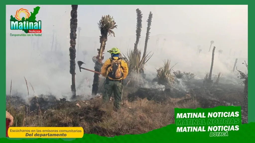En Boyacá piden sanciones económicas y penales ejemplares, a quienes provoquen incendios forestales