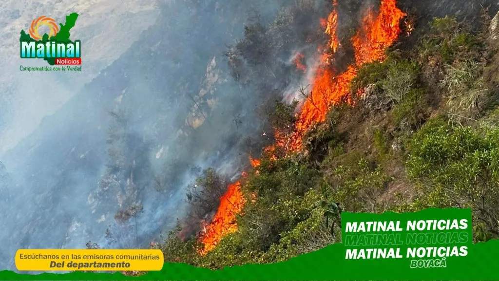 Bomberos mantienen control sobre incendio forestal en Guacamayas y advierten sobre riesgo por escasez de agua