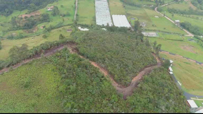 Sin compasión alguna, particulares arrasaron con la vegetación de una Reserva en zona rural de Gachantivá